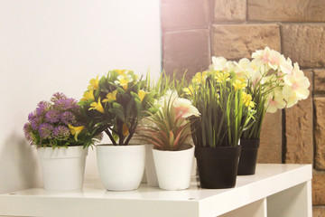 Fototapeta na wymiar Decorative flowers in white pots