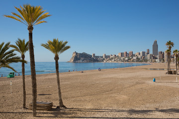 Benidorm Spain with palm trees beautiful sandy beach