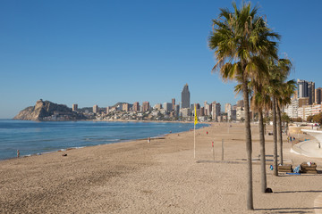 Benidorm palm trees on the beach Spain Costa Blanca 