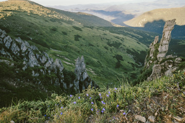 Fototapeta na wymiar A close up of a hillside next to a mountain