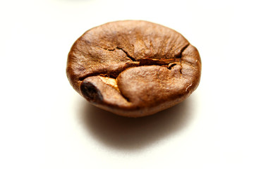 Macro of coffee beans
