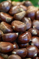 chestnuts ready for sale on the counter