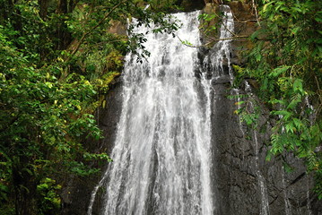 Wasserfall in El Yunque Regenwald, Puerto Rico