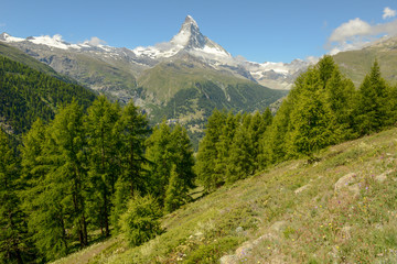 Fototapeta premium Landscape with mount Matterhorn over Zermatt in the Swiss alps