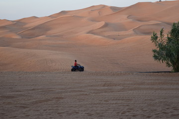 evening view of desert