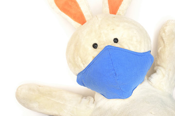 the hare in the covid mask blue color