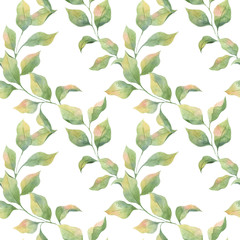 Seamless watercolor pattern with green leaves on a white background. Delicate colors, Apple twigs. Print for fabrics, curtains, wedding decoration, clothing.
