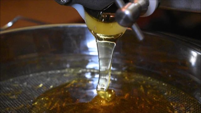 Honig rinnt aus der Honigschleuder, Honiggewinnung beim Bienenhalten