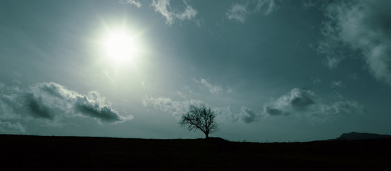Fototapeta na wymiar Dark Landscape Of Silhouette Lone Tree Against Dramatic Sky With The Sun And Clouds Low At Horizon
