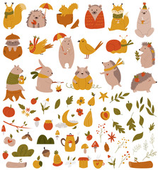 Big set with forest animals and coleection of leaves, fruits, other symbols.