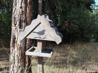 Wooden bird feeder with seeds on green background