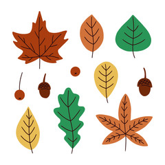 Obraz premium Set of colorful autumn leaves. Isolated on white background. Simple hand drawn vector illustration.