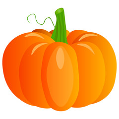 Fresh pumpkin on a white background. Harvesting for the winter. Autumn harvest. Vector illustration
