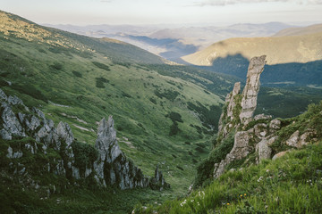 A herd of sheep standing on top of a mountain