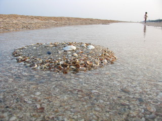 Mała wyspa z muszelek na brzegu morza Azowskiego, Ukraina © vofchok