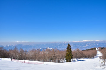 冬晴れの蔵王温泉スキー場からの雪景色