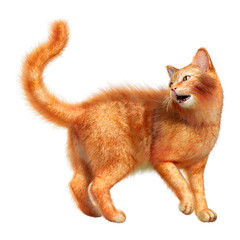 3D Rendering Red Cat on White