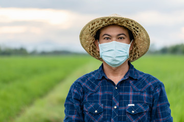 Thai farmer wearing protective mask and standing at the green rice field