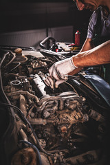 Professional car mechanic working