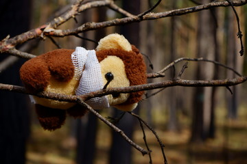 małpka ,maskotka , pandemia © Marcin Łazarczyk