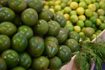 Tropical avocado fruit on greengrocery fruit shop