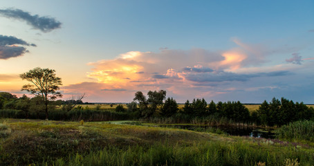 Obraz na płótnie Canvas evening landscape with a small pond and reeds