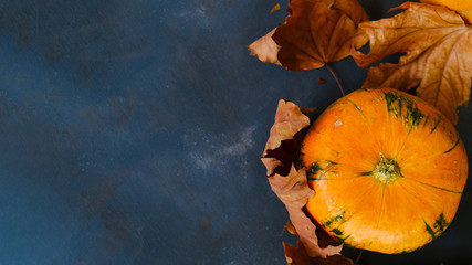 Fototapeta na wymiar Pumpkin and autumn maple leaves on dark blue background. Copy space.