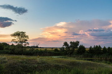 Fototapeta na wymiar evening landscape with a small pond and reeds