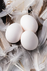 selective focus, fresh chicken eggs