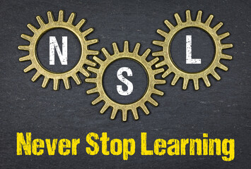 NSL Never Stop Learning