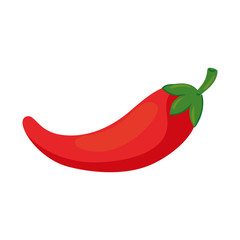 chili pepper vegetable in white background vector illustration design