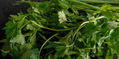 Delicious fresh parsley and chives from the organic fair.