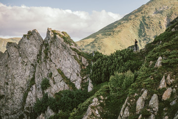 A rocky mountain with trees in the background