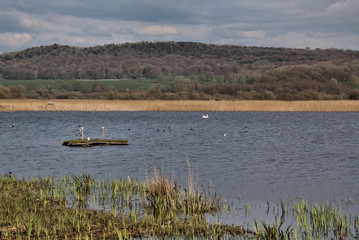 A view of Leighton Moss Nature Reserve