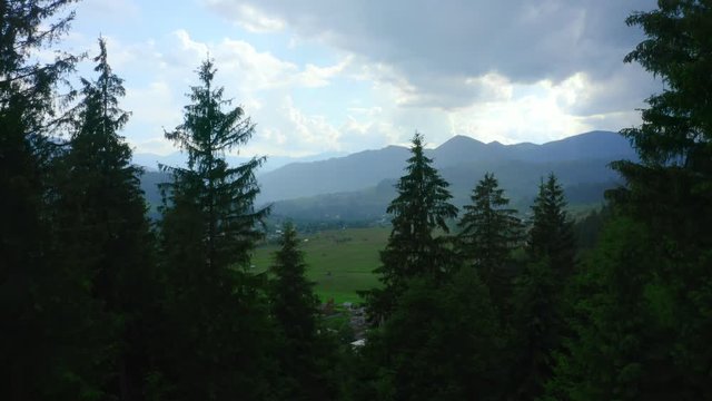 Forest mountains green field hill jungle treen aerial