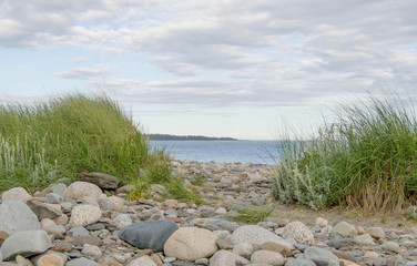 Beach, grass, rocks