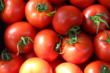 fresh and organic tomatoes in a market