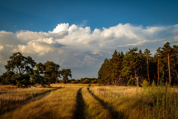 Obraz premium evening steppe landscape with blue sky and clouds