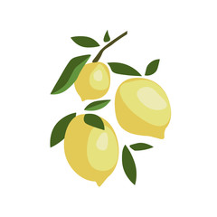 vector illustration of lemon