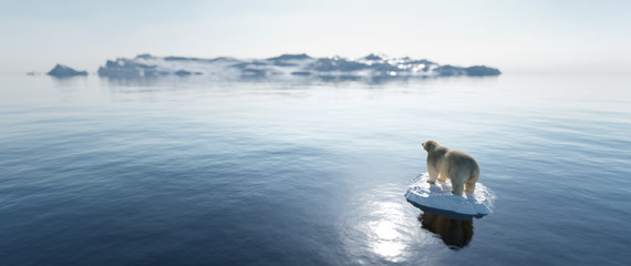 Polar bear on ice floe. Melting iceberg and global warming.