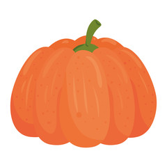 fresh pumpkin, in white background vector illustration design