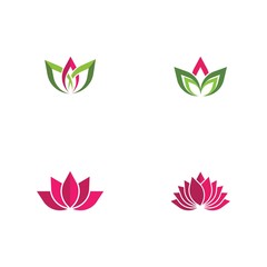 Set Beauty Vector lotus flowers