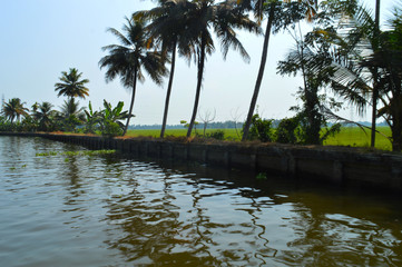 Fototapeta na wymiar Beautiful scenery of backwaters 