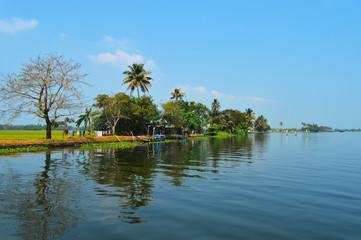 Beautiful scenery of backwaters 