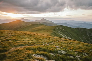A herd of sheep grazing on a lush green hillside
