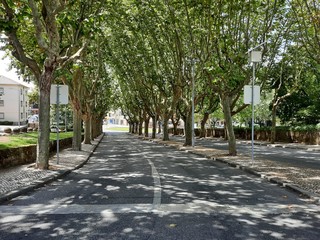 alley in the park