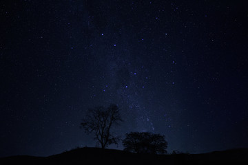 night sky with stars