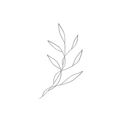 Contour foliage. Black and white line art decoration of leaves.  Vector isolated clipart. Minimal monochrome hand drawing botanical design.