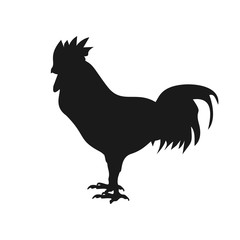black chicken silhouette vector illustration design