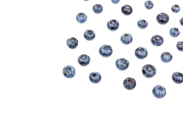 Blueberry isolated. Blueberry on white background. Bilberry. Clipping path.